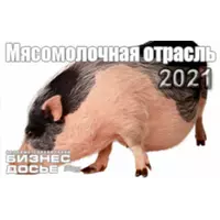 Мясомолочная отрасль Украины - 2021, база данных